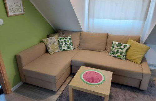 Cztery Pory Warmii Pluski pokoje do wynajęcia - Foto 32