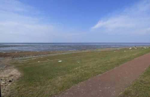 Käptn Seebär - Foto 12