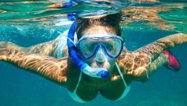 Snorkeling à Madère