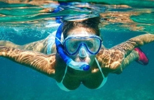 Snorkelling at Ponta de São Lourenço - Photo 3