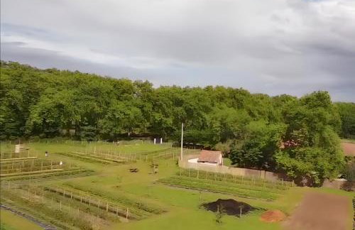 Ferme Pédagogique Bordeneuve - Foto 20