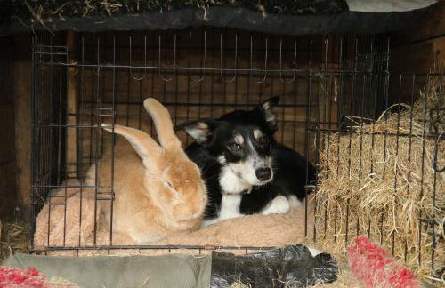 Room with a view - Photo 49