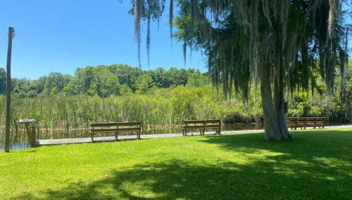 Professor Rousseau's Tiki Hideaway - Foto 3