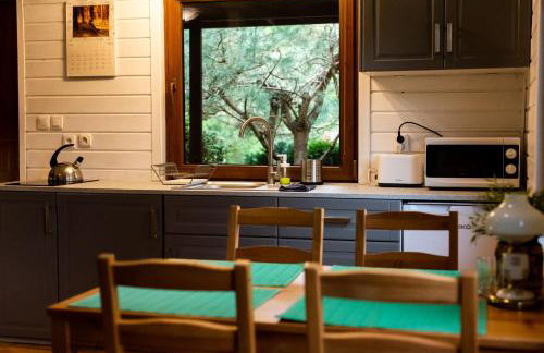 Domki letniskowe i całoroczne w Kopalinie - Foto 28