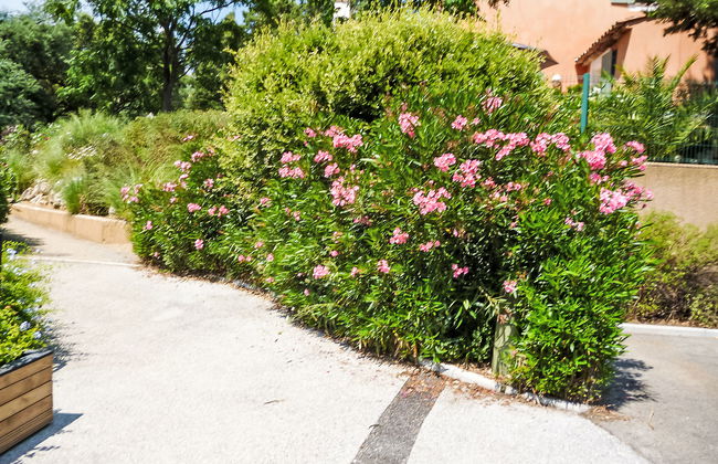 Les Restanques Golfe Saint Tropez - Foto 21