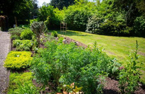 Ferienwohnung Haus Holtdirk - Foto 16