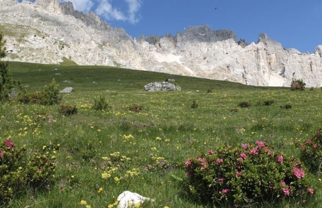 Lovely apt With Garden in South Tyrol - Foto 25