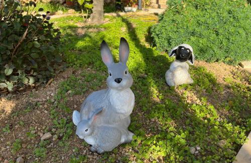 Apartments SUHO Komiza - Photo 44