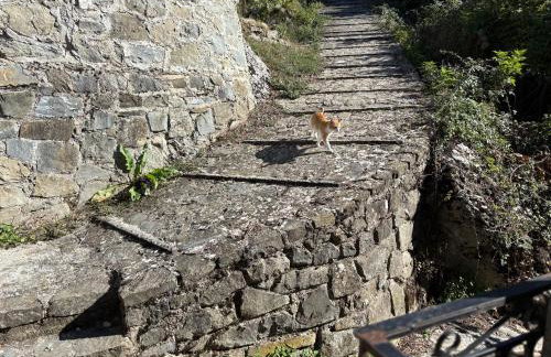 La casa di Areti - Foto 39