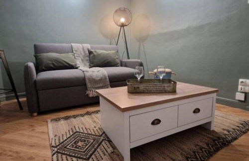 Le voyageur - Appartement Hyper Centre - Foto 1