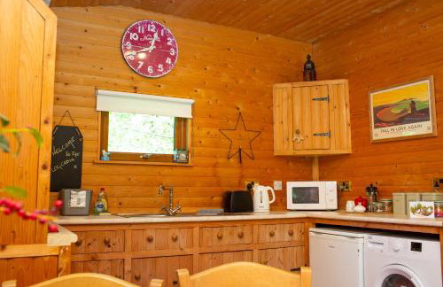 Fiddlers Green Log Cabin Tenby - Foto 8