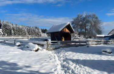 Das Falken Nest - Foto 20