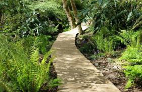 Large newly refurbished modern house, part sea views, south facing garden, parking - Photo 30