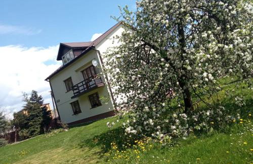 Gospodarstwo Agroturystyczne U Zdzicha - Foto 11