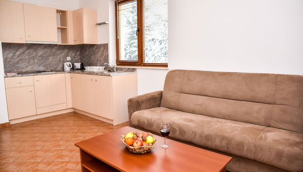 Apartments in Pesspa Complex - Foto 3, Cocina básica privada