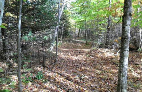 Impressive Cabin Rental for Large Groups in Au Sable Forks, New York - Foto 28