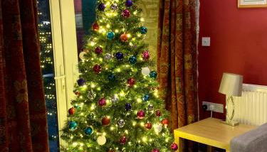 Llwyn Llwyd Cottage - Photo 3