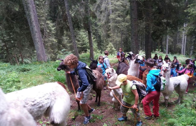 Chalet nel Doch - Foto 51