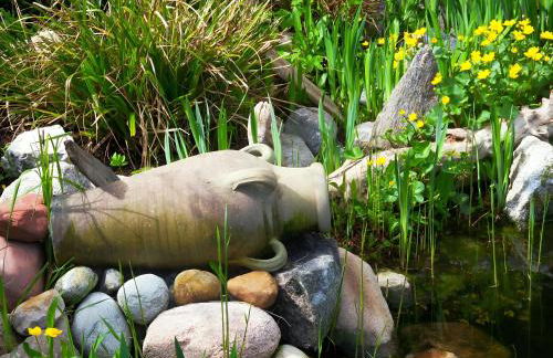 Ferienhaus von Bargen - Foto 28