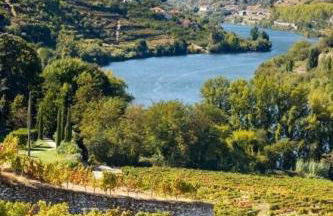 Casa Amélia - Foto 15