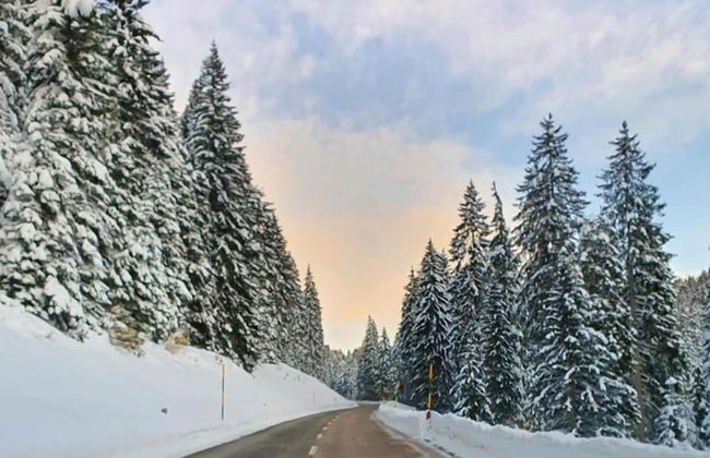 Agritur Belsogno B&B - Foto 51