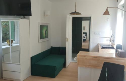 APARTAMENTY ZIELONY KAMELEON - Foto 29