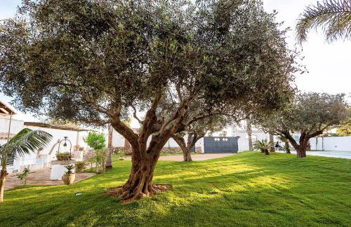 Casa Marsala - Foto 18