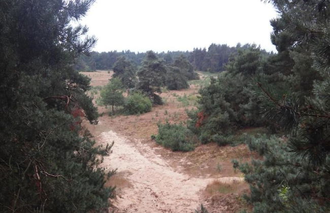 Terraced Home in Voorthuizen Near Veluwe - Foto 29