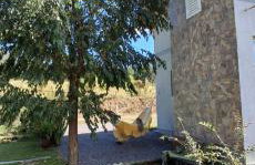 Refúgio da Serra - Foto 33