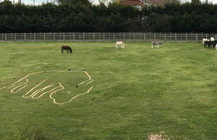 The Grannary - Photo 27