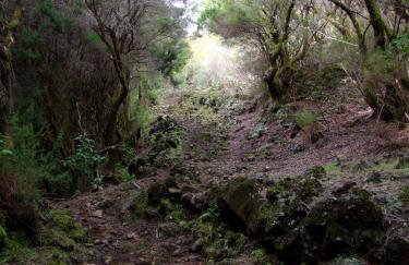 Villas Las Cercas - Photo 65