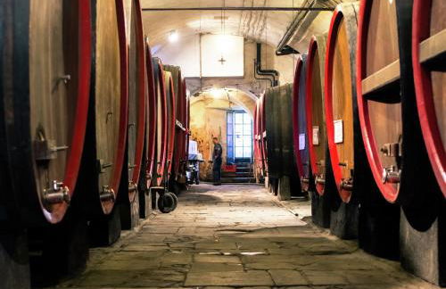 Guest House in Monferrato With Wine Tasting - Foto 30