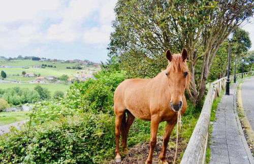 Casa Villa Mey - Foto 52
