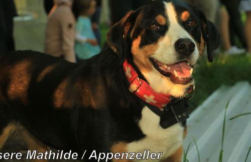 Apartment Spree Idyll by Interhome - Foto 24