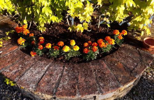 Le querce felici - Foto 23