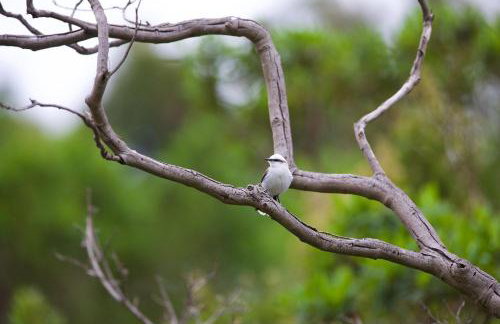 Refúgio na Lapinha com dois chalés, ideais para casal, família ou pequeno grupo de amigos, com acesso privativo à lagoa, caiaques e quadra de beach tennis - Foto 71