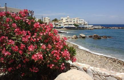 Flora's Apartments - Foto 29