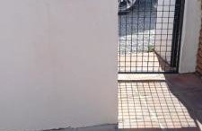 Finca Mulo Arriba - Foto 42