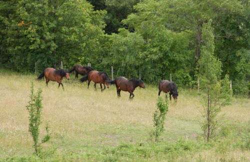 Agriturismo Le Querciole - Photo 45