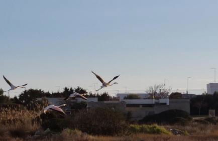 Le case di Pat - Casa Marea - Foto 43