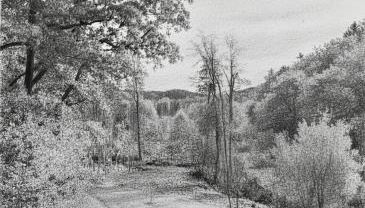 Mitteraubach - Foto 3