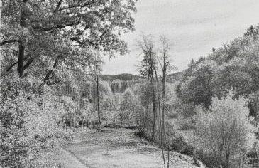 Mitteraubach - Foto 3