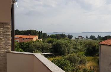 Apartmani Krajnović - Foto 50