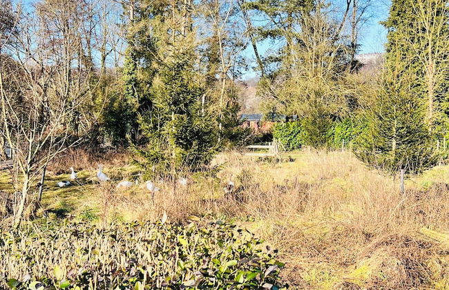 Maison proche rivière avec jardin - Foto 41