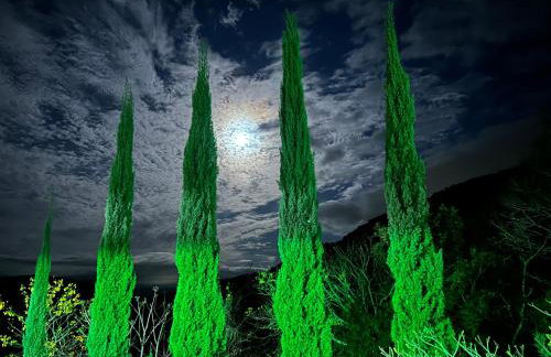 Chalé cipreste 4 Quartos - Foto 39