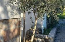 Quinta da Barbosa - Foto 5