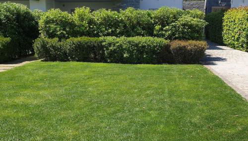 Le Dune 65 Ginestra Silvi Marina - Foto 4