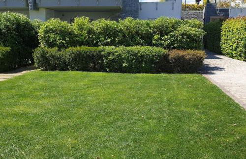 Le Dune 65 Ginestra Silvi Marina - Foto 4