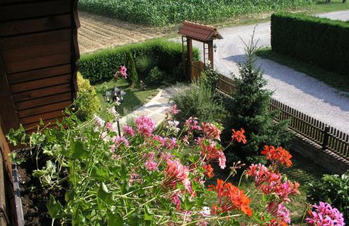 Apartments with parking space Marusevec, Zagorje - 23936 - Foto 17