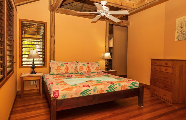 Tropical Breeze - Foto 13